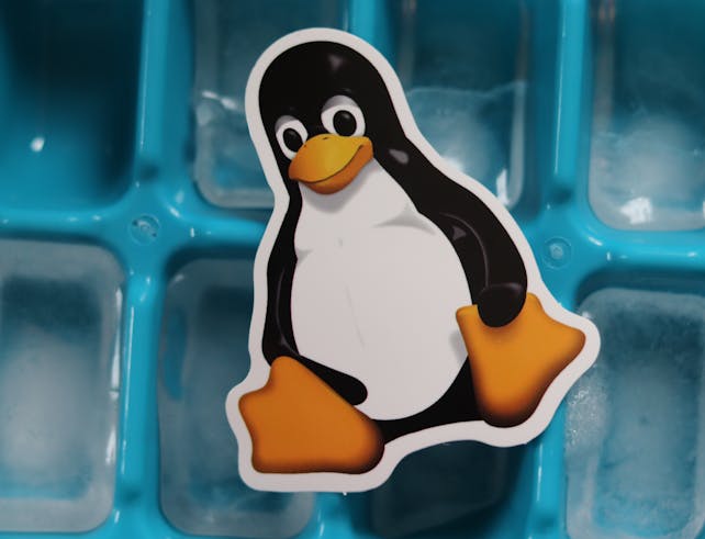 Close-up of a Linux penguin sticker placed on a blue ice cube tray with frozen cubes.