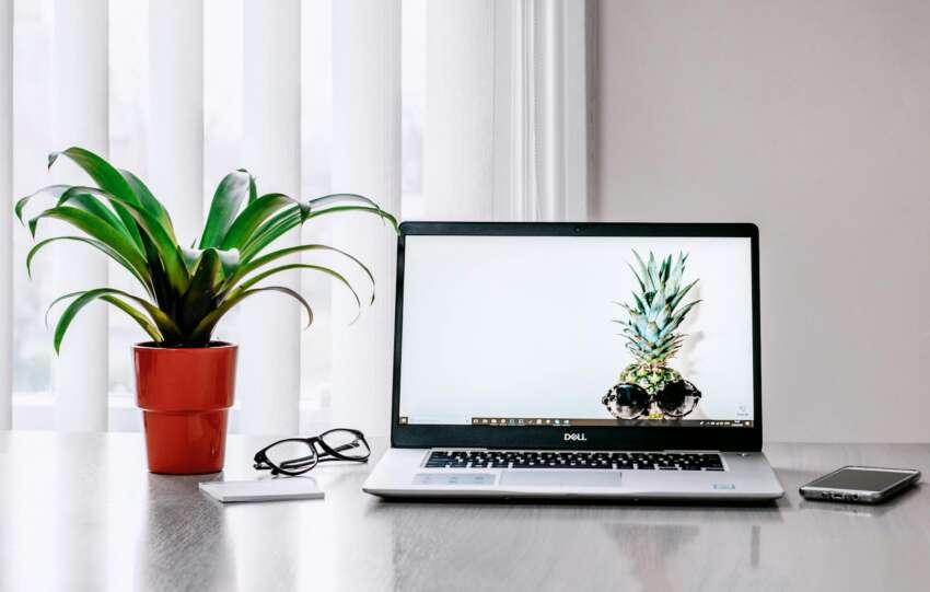 photo of laptop near plant